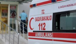 Bursa’da sokak köpekleri 2 çocuğu hastanelik etti