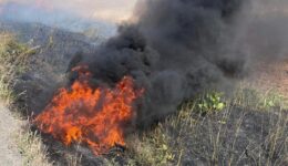 Şırnak’ta tarım arazisinde yangın – Son Dakika Haberleri