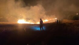 Şanlıurfa’da orman yangını – Son Dakika Haberleri